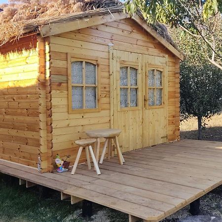 Edelweiss Guesthouse, Glamping And Camping Suhaia Exterior photo