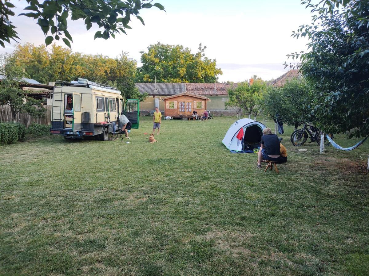 Edelweiss Guesthouse, Glamping And Camping Suhaia Exterior photo